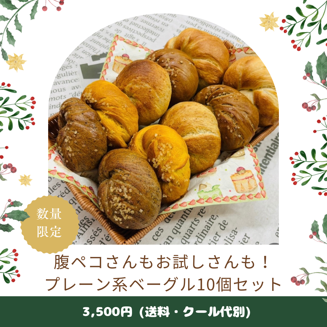 【11月限定】よくばり満足王道プレーンセット(10個入り)【天然酵母】